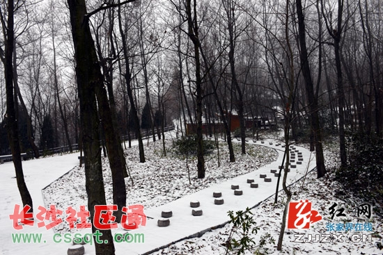 ҽԴӭ2014׈ѩMD